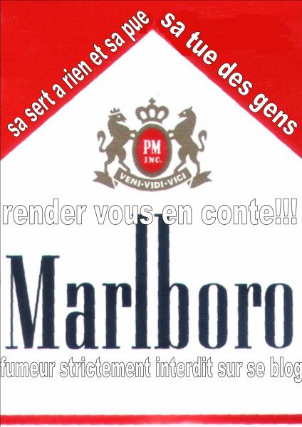marlboro
